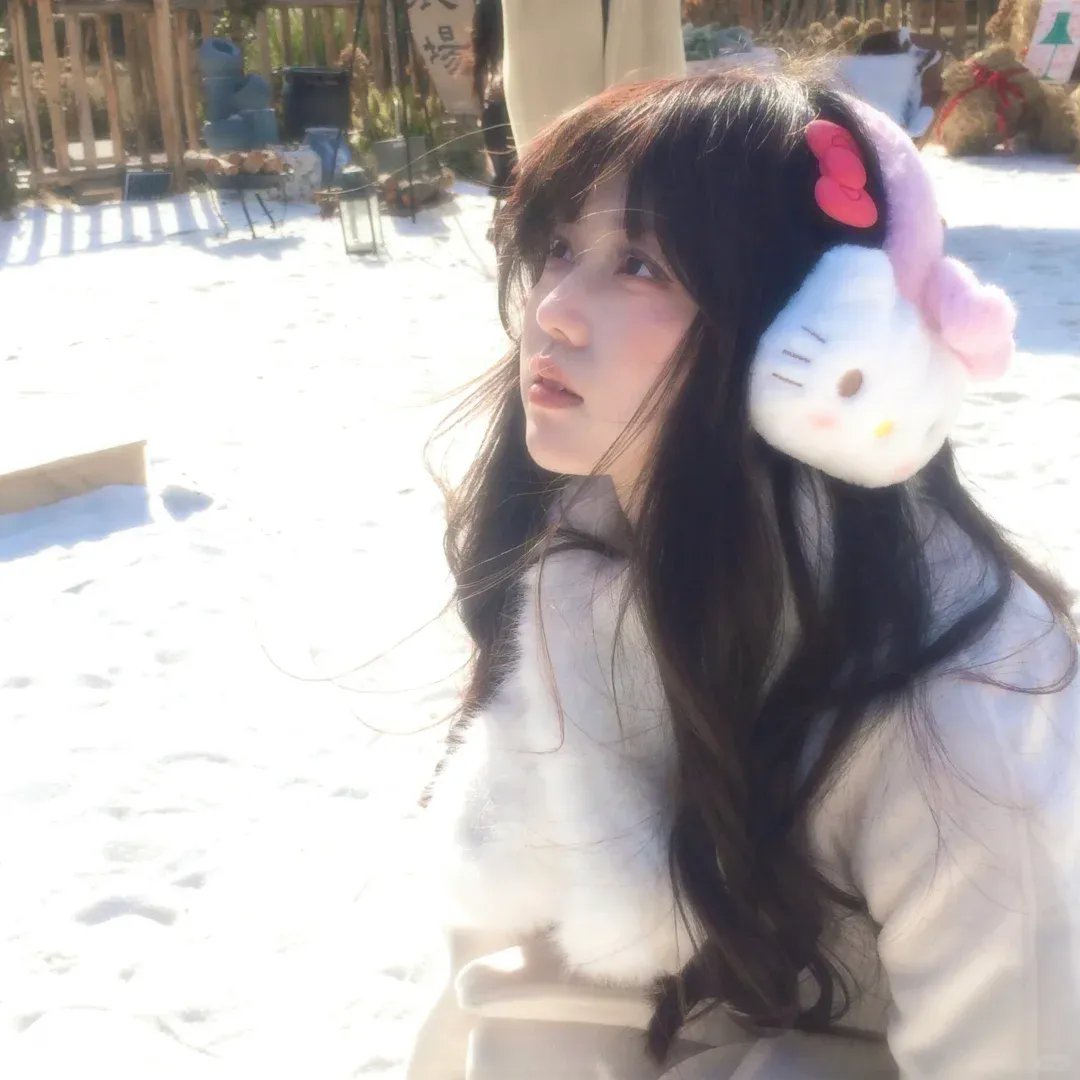 完美盗贼